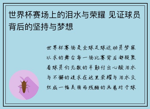 世界杯赛场上的泪水与荣耀 见证球员背后的坚持与梦想